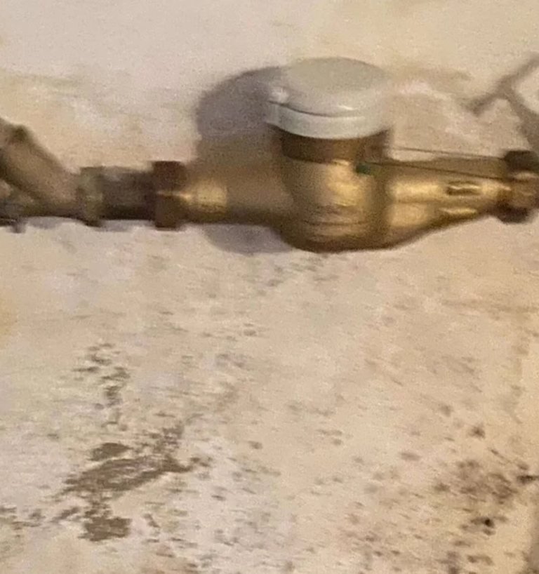 Schimmel und Feuchtigkeit am Wasserzähler nach Leitungswasserschaden