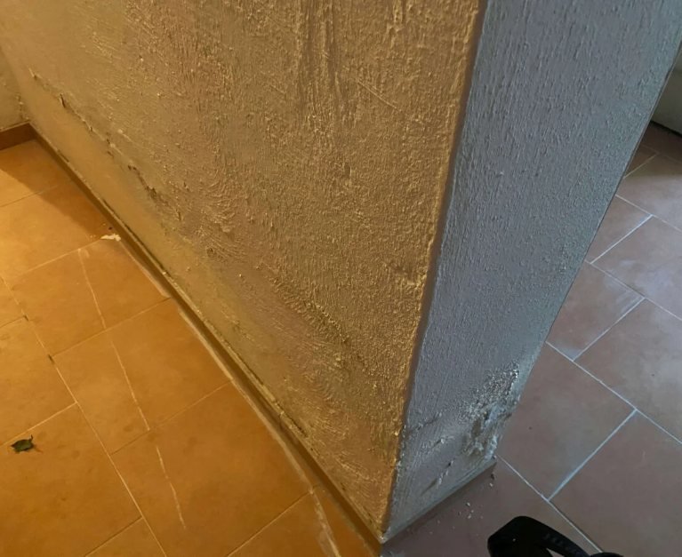 Schimmelbefall an der Wand nach einem Wasserschaden
