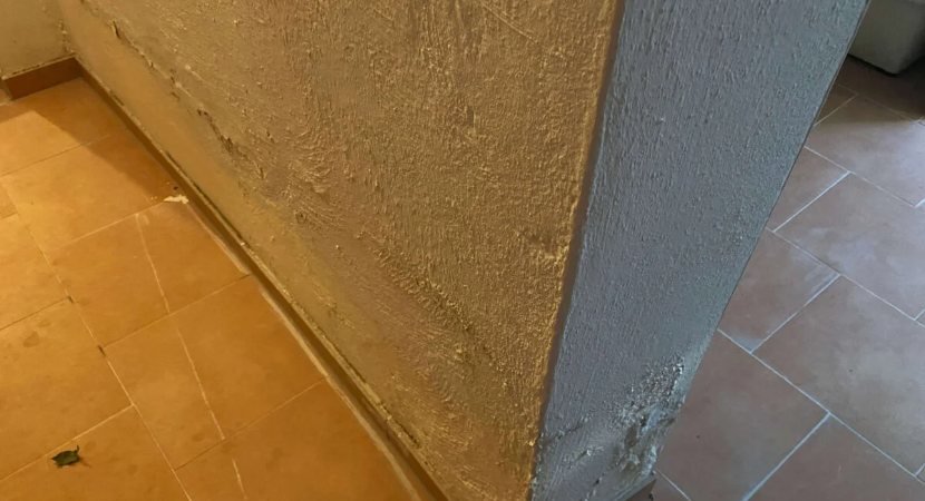 Schimmelbefall an der Wand – Schimmelbegutachtung in München