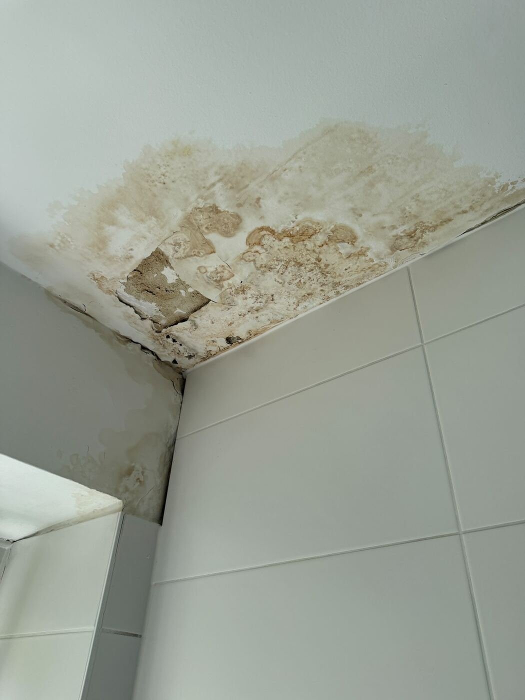 Wasserfleck an der Decke durch einen Wasserschaden